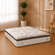 Trocar modulo da cama -1-
